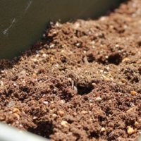 腐葉土とは｜作り方と使い方は？効果とデメリットを解説！の画像