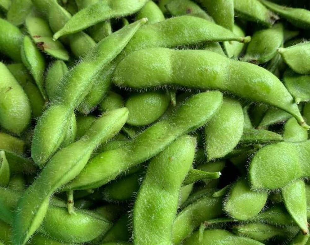 枝豆　エダマメ