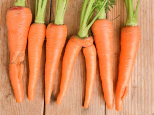 3月に植える野菜10選 プランターでも栽培できるおすすめの種類は Greensnap グリーンスナップ