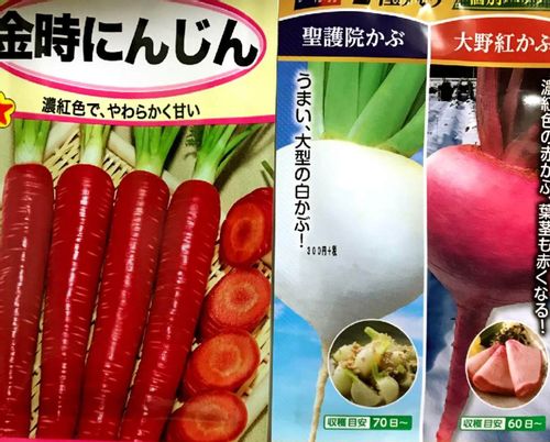 ニンジンの種類はどれくらいあるの 珍しい品種や名産地は Greensnap グリーンスナップ