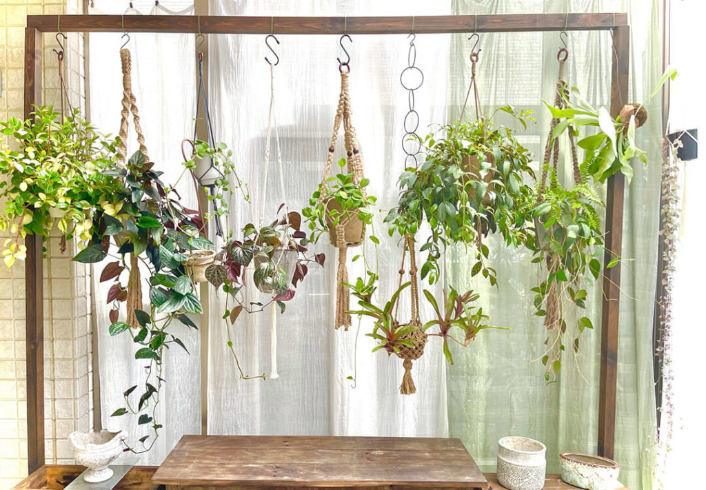 インテリアハンギング