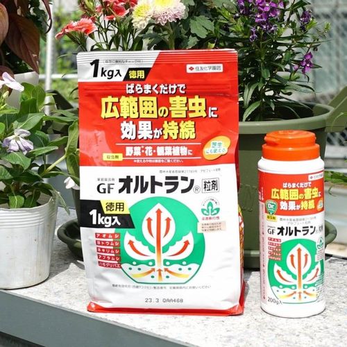 害虫防除の強い味方 オルトラン粒剤 長く愛されている理由とは Greensnap グリーンスナップ