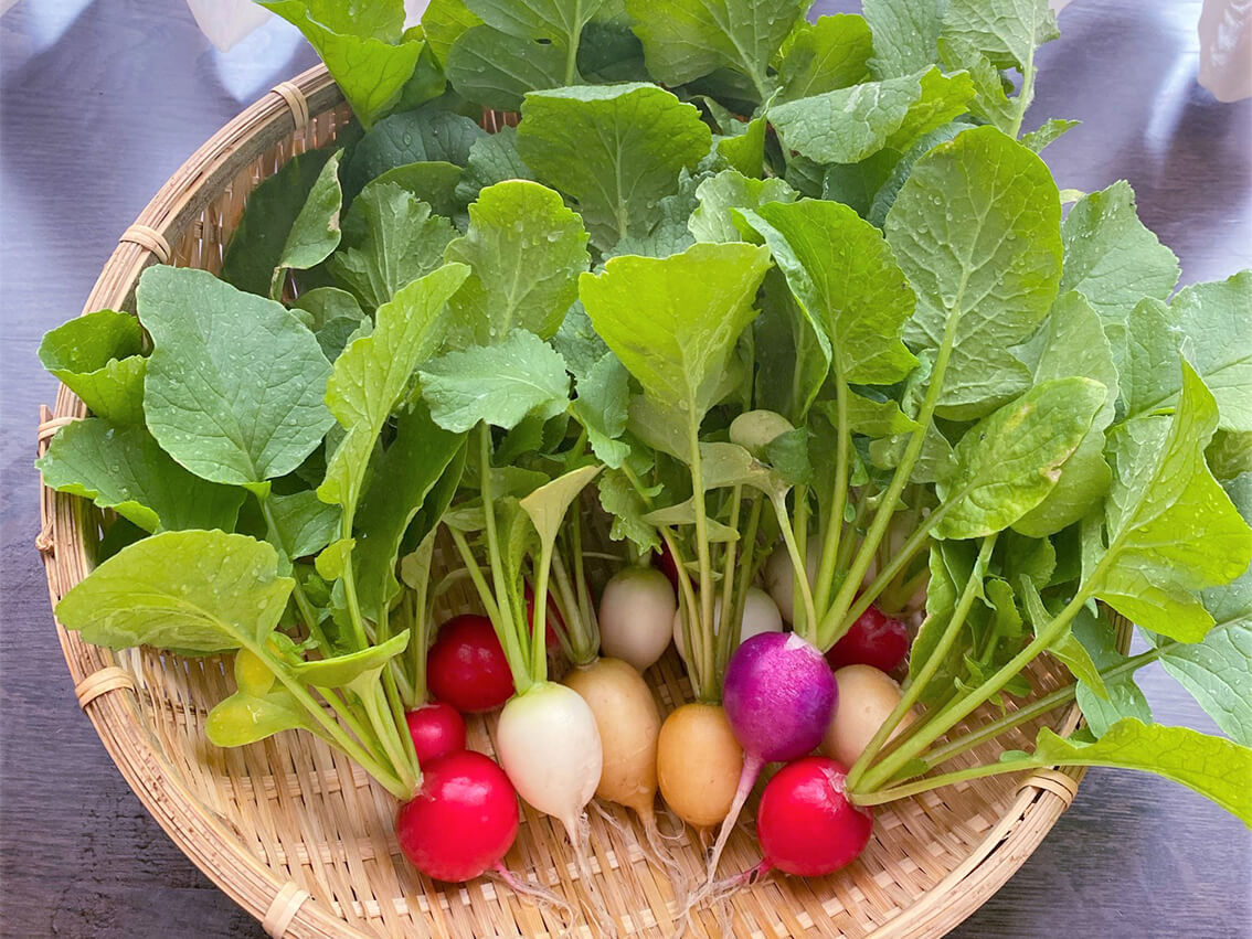 9月に植える野菜10選 プランターでも栽培できるおすすめの種類は Greensnap グリーンスナップ