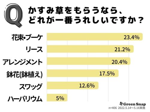 カスミソウの花言葉 怖い意味がある 花束で贈るときの注意点は Greensnap グリーンスナップ