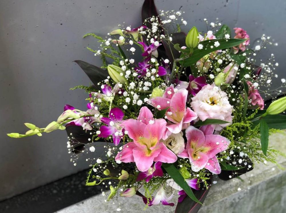 カスミソウ　ベールスター