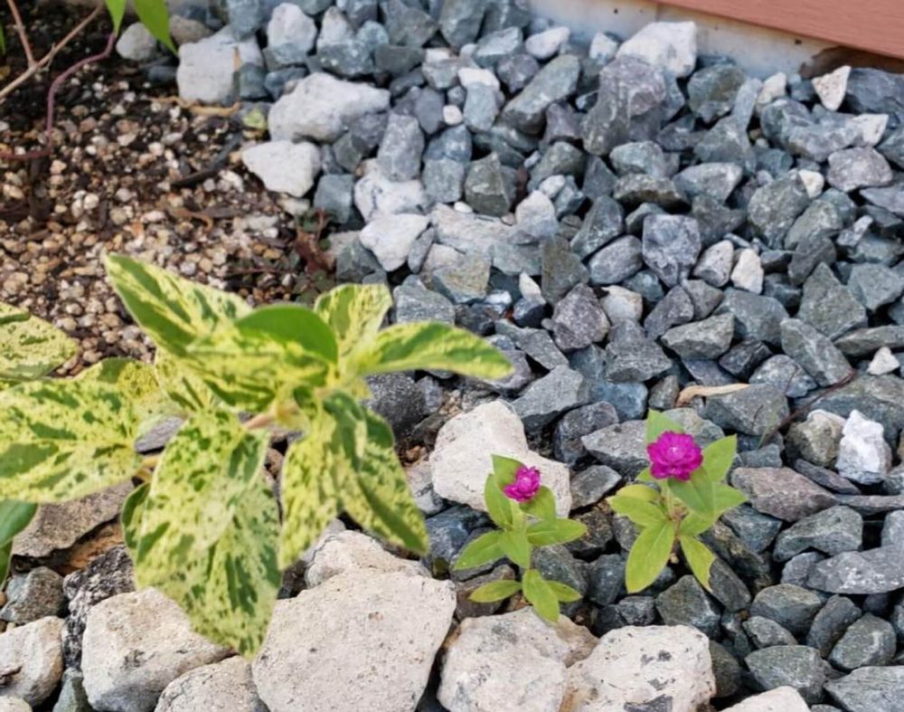 砂利　青砕石砂利