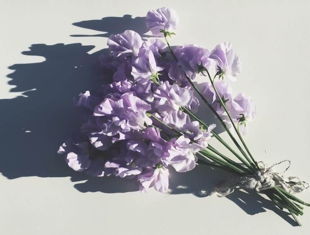 スイートピー　花束