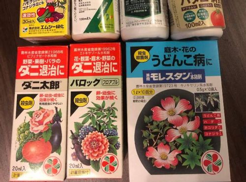 にんにくが病気や害虫の被害に遭う原因と対策は Greensnap グリーンスナップ