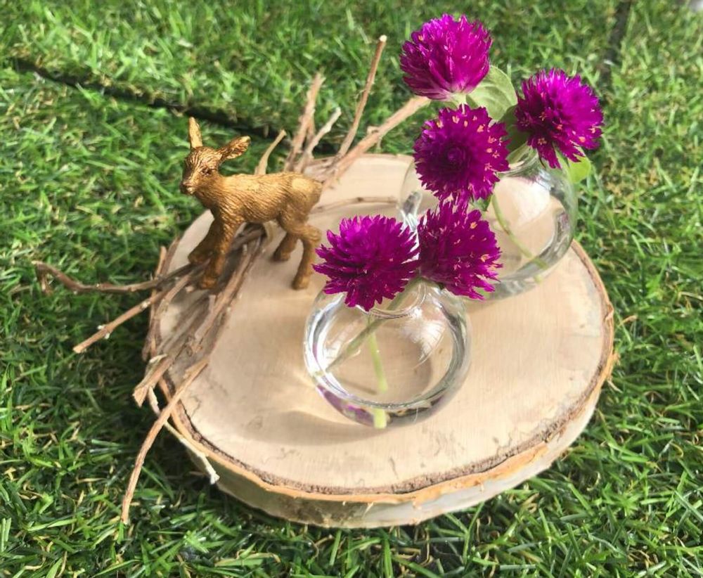 千日紅　オードリー