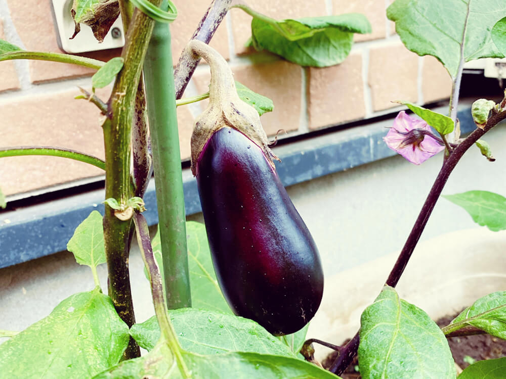 a3f4eb633ca730c3960f59d8045465