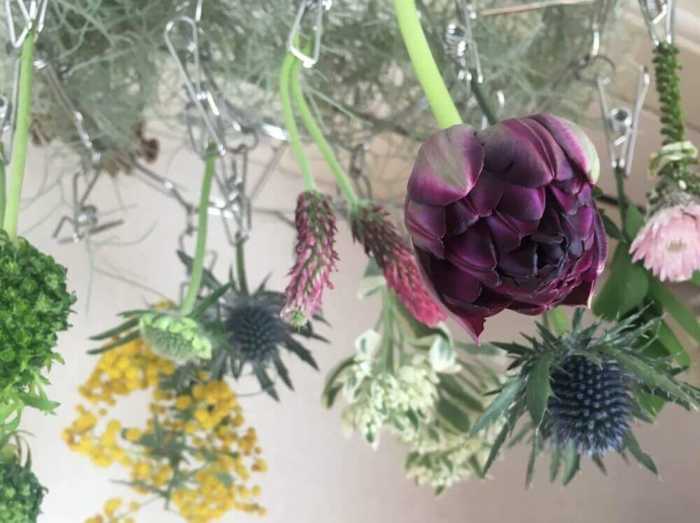 チューリップ　ドライフラワー