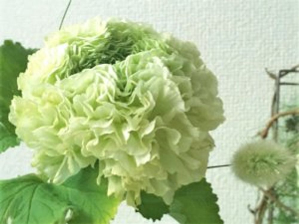 シレンテ