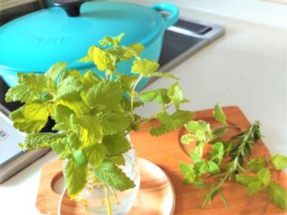 ワイルドマジョラム　室内