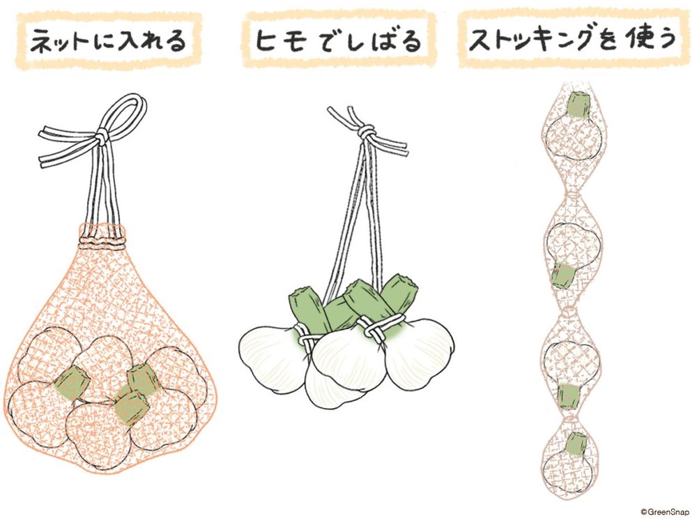 にんにく 収穫 干し方