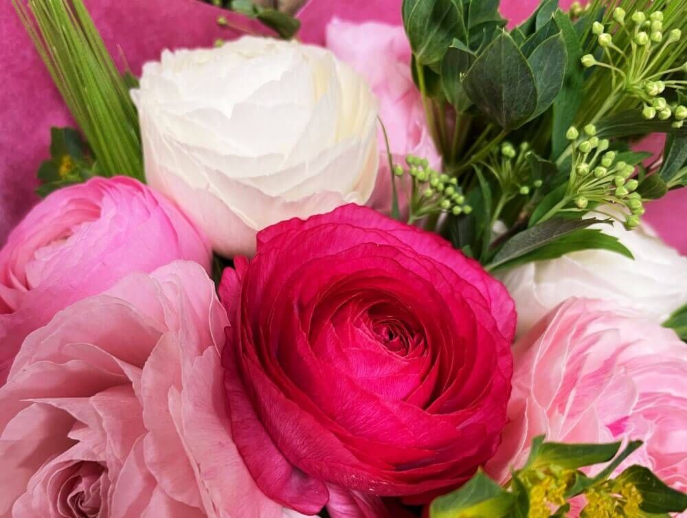 ラナンキュラス　花束