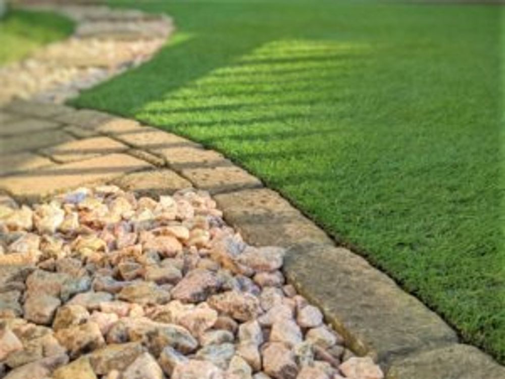 芝生　庭　ズーム