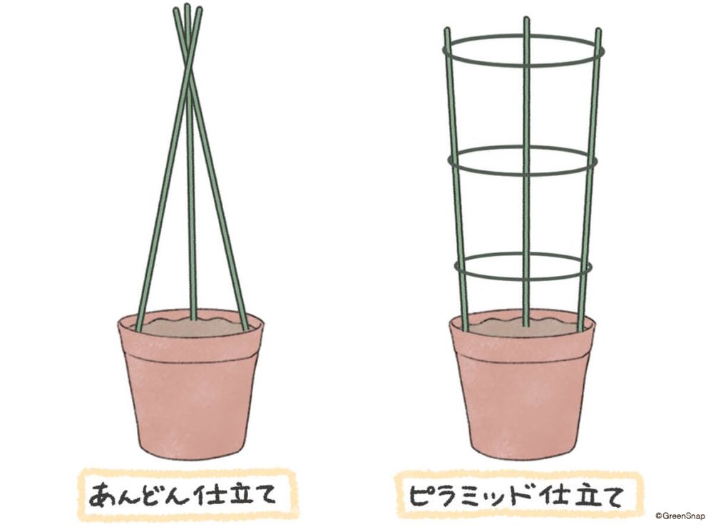 トマト 支柱 プランター イラスト