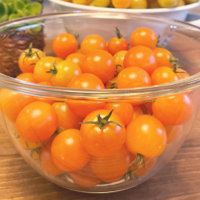トマト(ミニトマト)の保存｜冷凍、冷蔵での保存方法やドライもおすすめ？の画像
