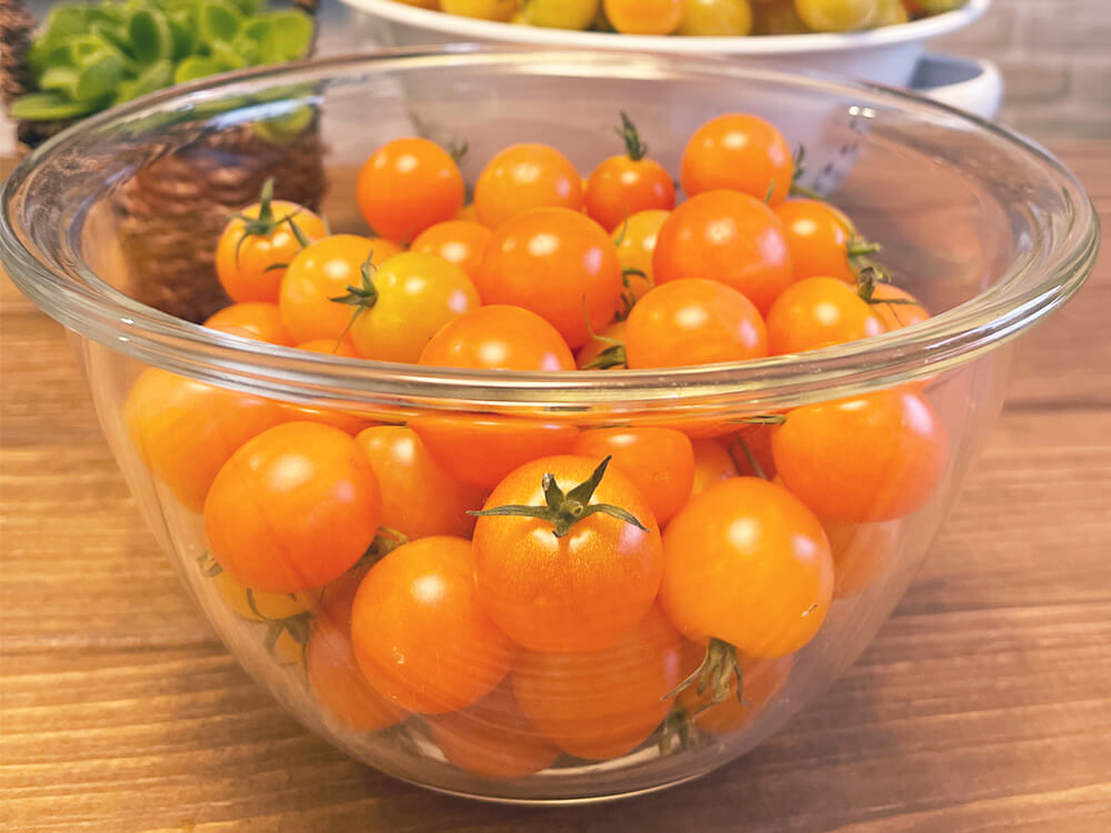 トマト ミニトマト の保存 冷凍 冷蔵での保存方法やドライもおすすめ Greensnap グリーンスナップ