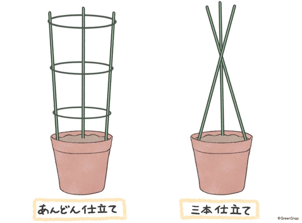 きゅうり 支柱 プランター イラスト