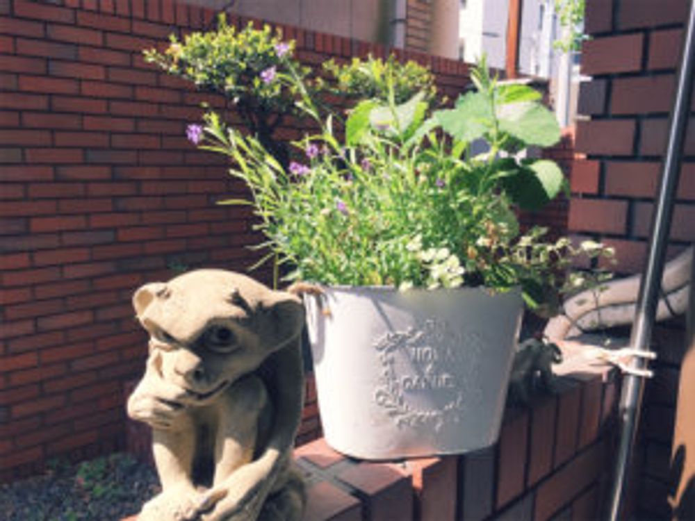 ラベンダー　寄せ植え 置物