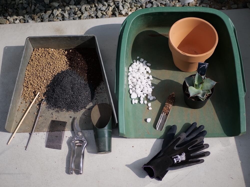 アガベ 植え替え 準備するもの