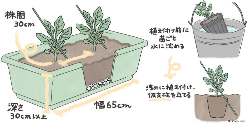ナス 植え付け プランター イラスト