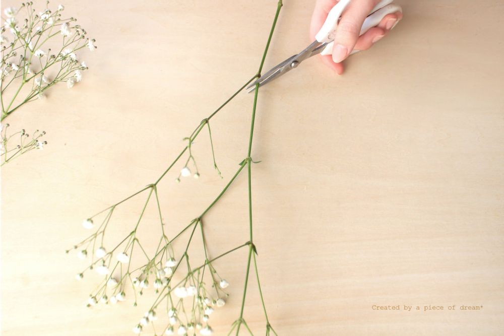 スワッグ 作り方 カスミソウを切り分ける 