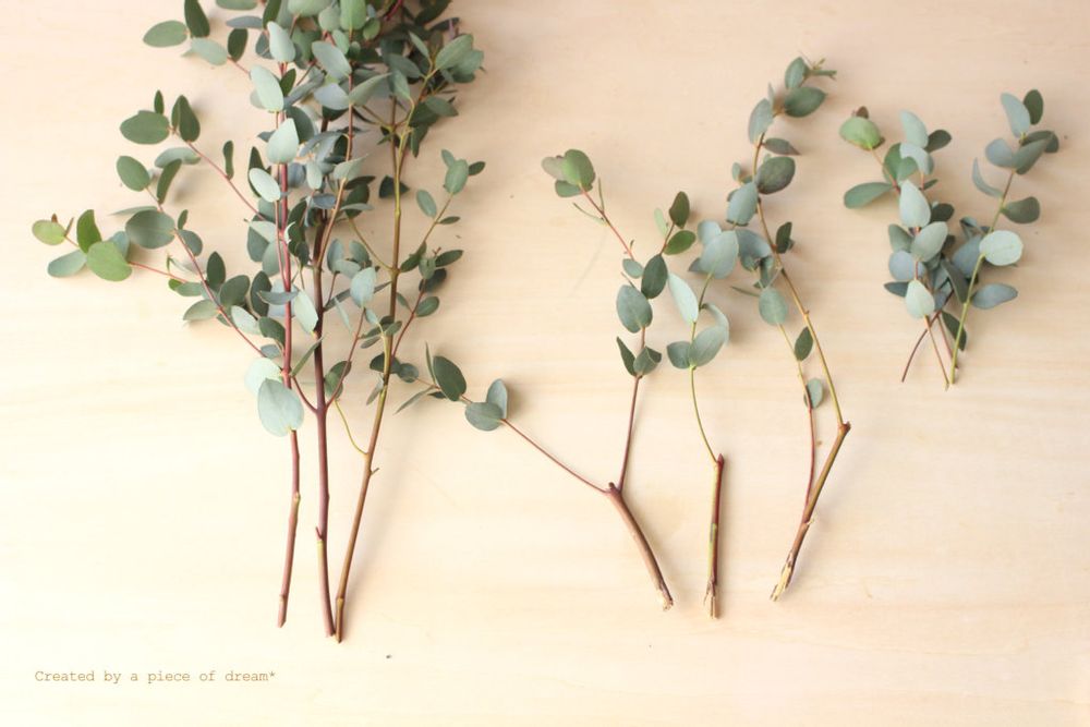 スワッグ 作り方 ユーカリを切り分ける