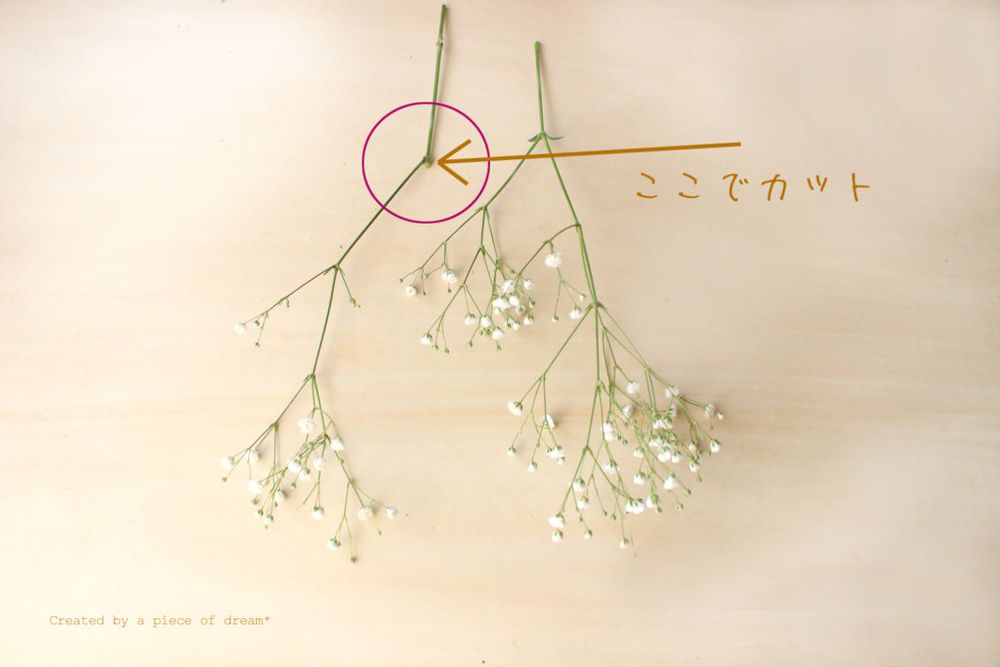 スワッグ 作り方 カスミソウを切った様子