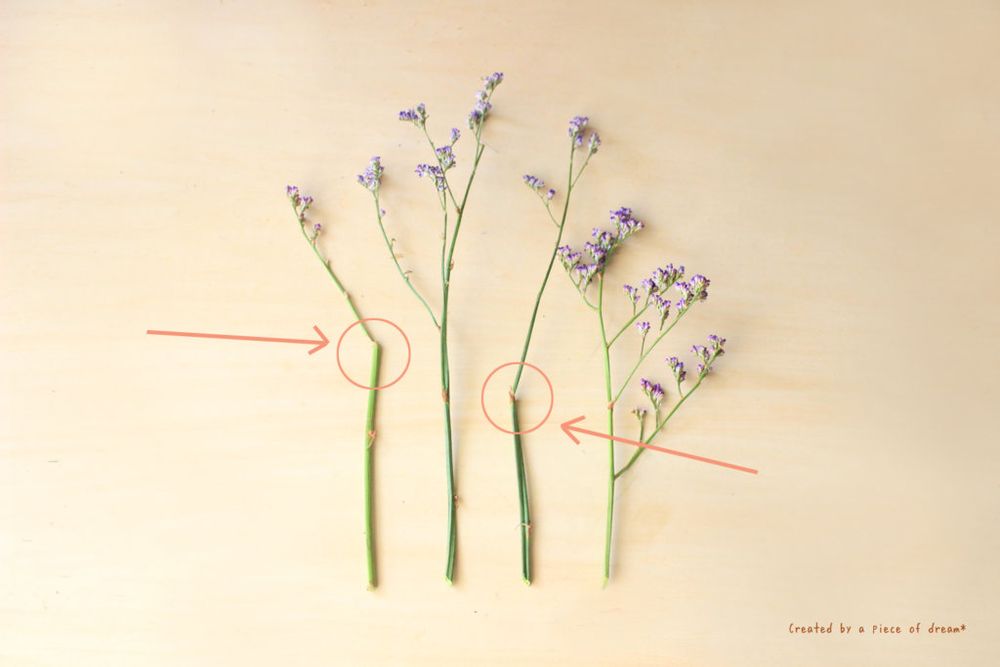 スワッグ 作り方 スターチスを切る