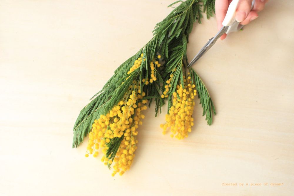 スワッグ 作り方 ミモザを切る