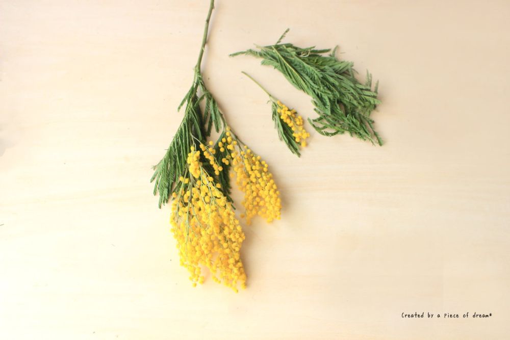 スワッグ 作り方 ミモザを切った様子