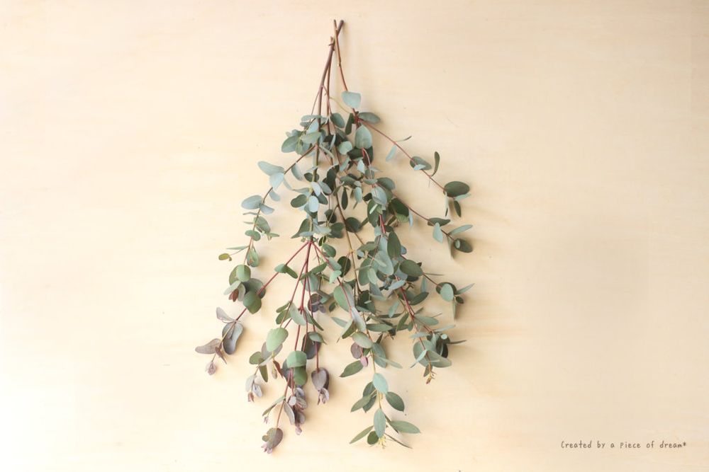 スワッグ 作り方 ユーカリを配置