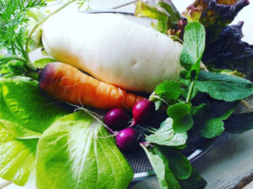 コンパニオンプランツ