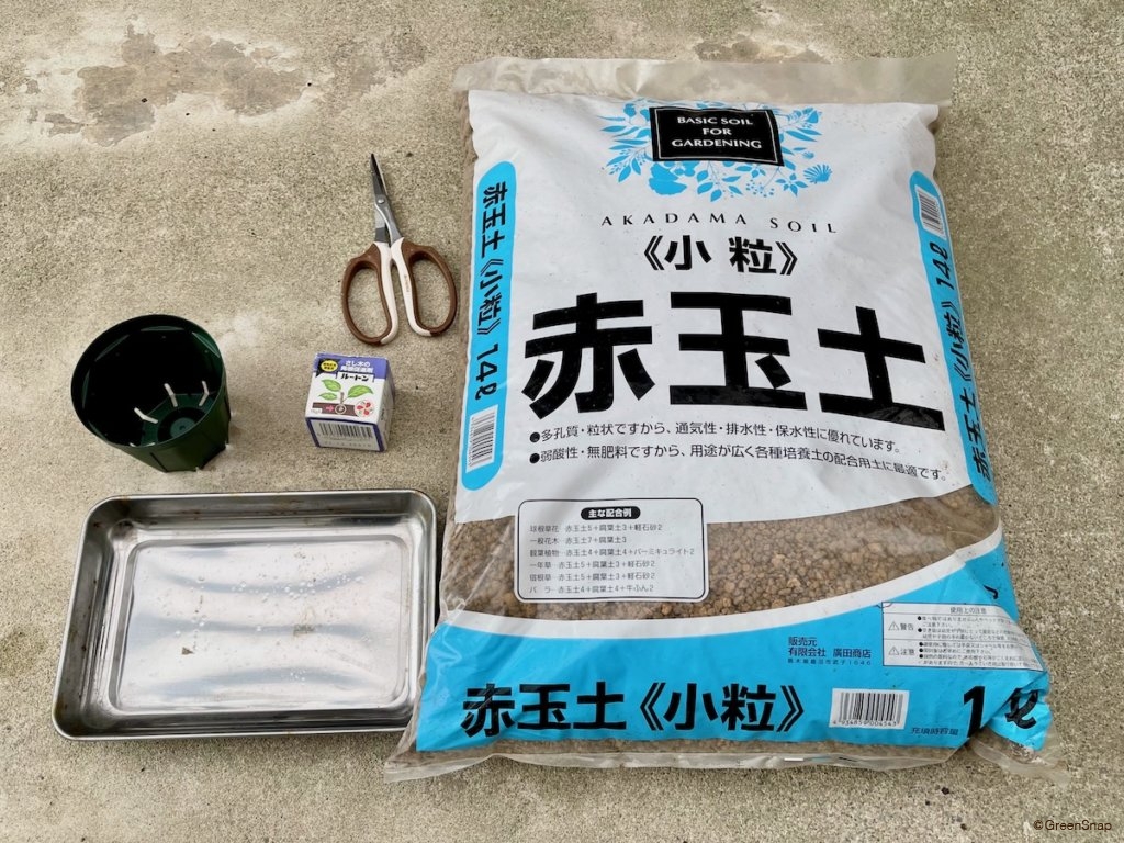 挿し木 挿し芽 用意するもの