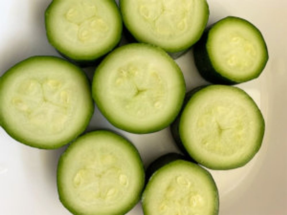 ズッキーニ　断面