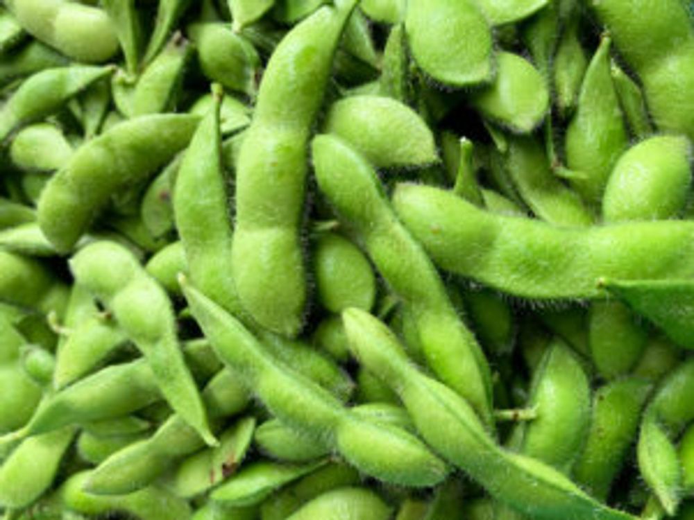 枝豆　かご入り