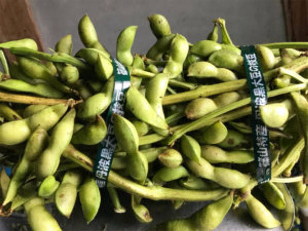 枝豆　束