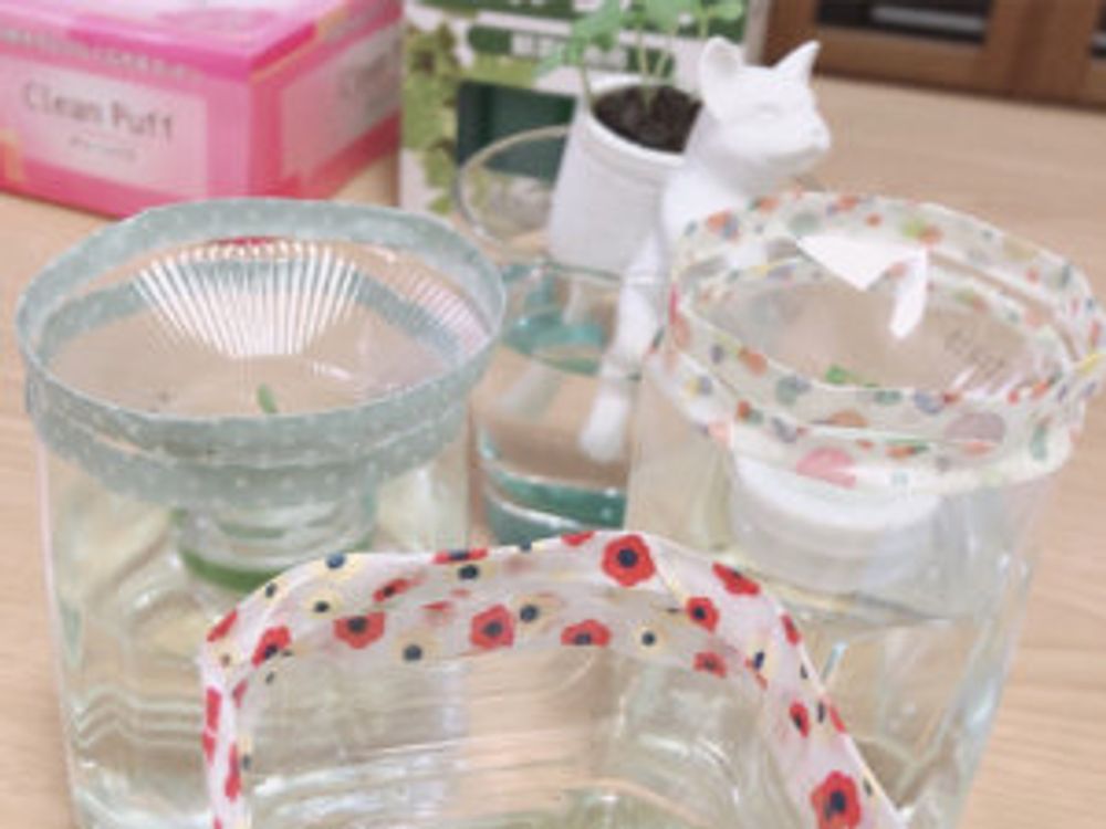 バジル　水耕栽培