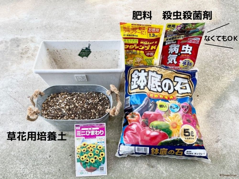 ひまわり 種まき 用意するもの