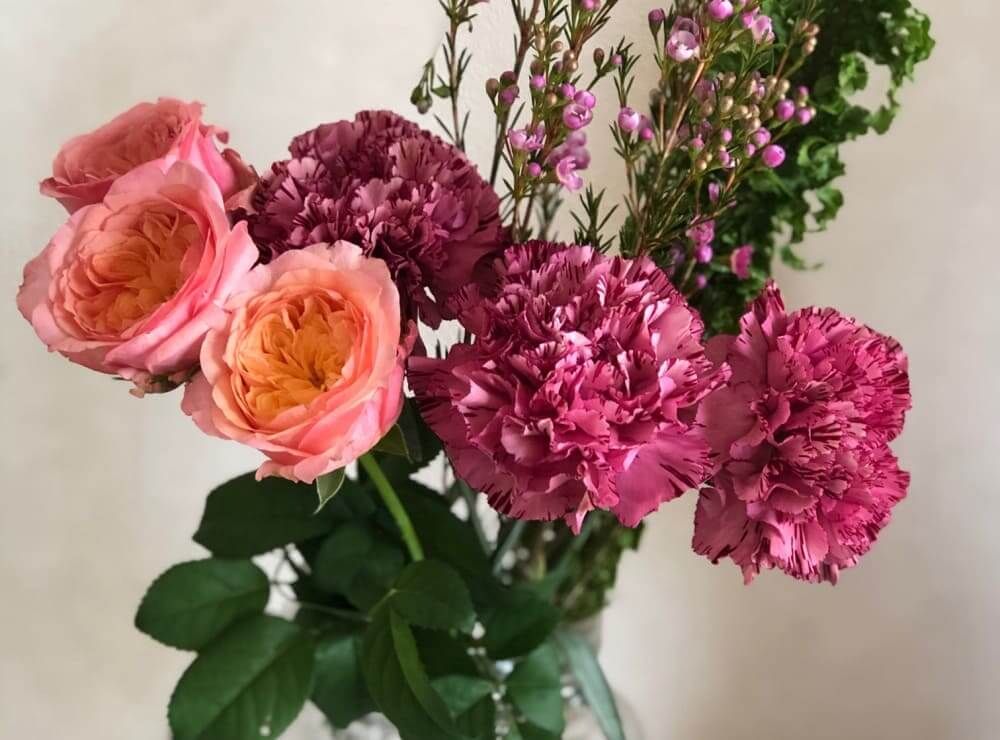 カーネーション　ハイパーワイン