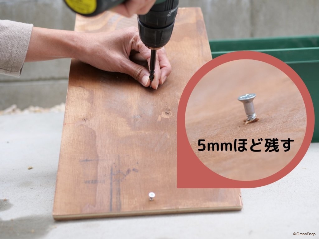 ビカクシダ コウモリラン 板付 板にネジを打つ