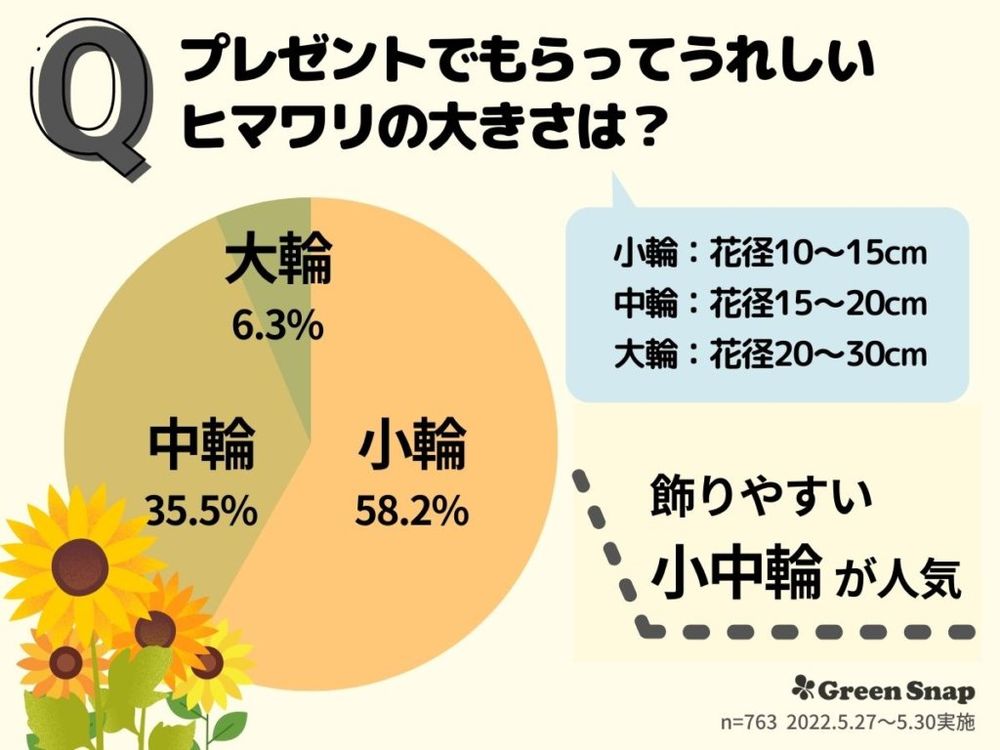 ヒマワリ アンケート プレゼントでもらってヒマワリの大きさは?