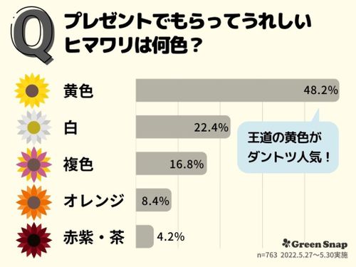 ヒマワリの花言葉 怖い意味もあるって本当 色や本数別の意味は Greensnap グリーンスナップ