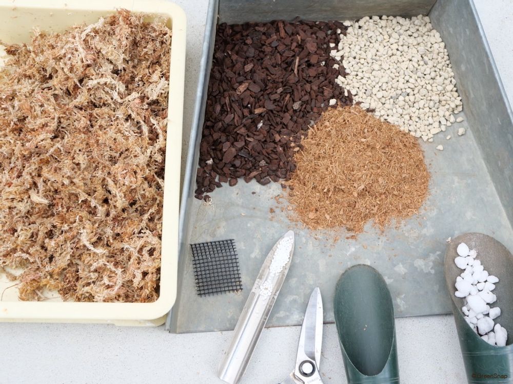 デンドロビウム 植え込み材