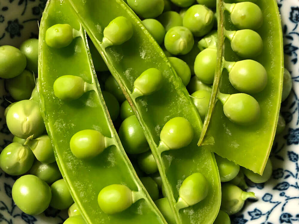 えんどう豆 スナップエンドウ の育て方 種まきの時期は プランター栽培もできる Greensnap グリーンスナップ
