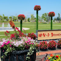 花のまち“恵庭”が舞台！国内最大級の花と緑の祭典「ガーデンフェスタ北海道2022」に出かけよう♬の画像