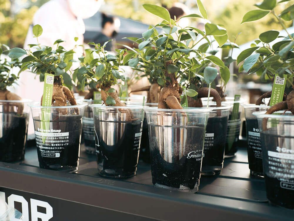 グリーンスナップマルシェ@横浜