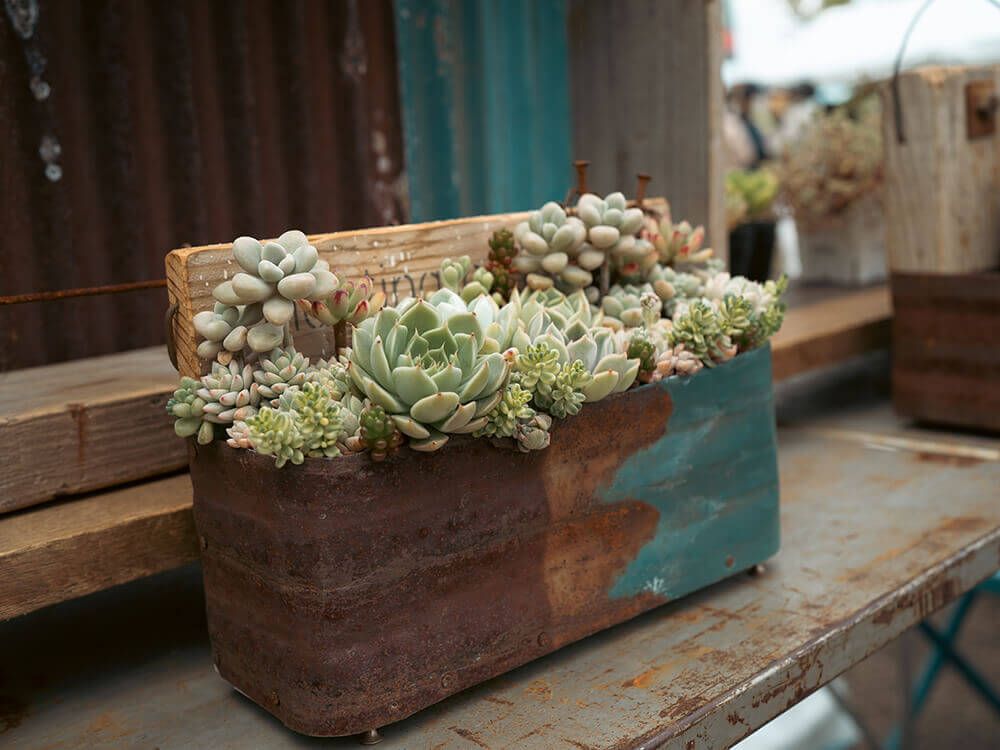グリーンスナップマルシェ@横浜